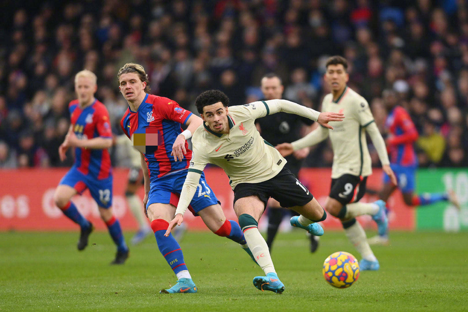 行为并非孤 行为并非孤